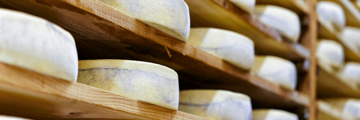 Ruedas de queso madurando en un estante de madera