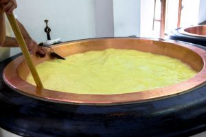 cheese curdling