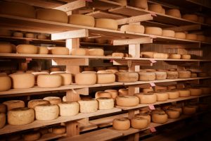 cheese maturing