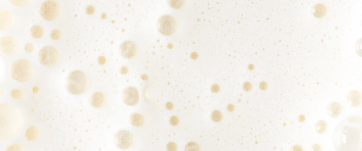 Lactose: understanding everything to digest it better