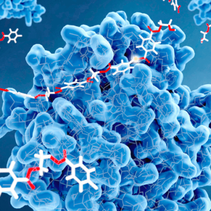 Manque d’enzyme lactase : quelles conséquences sur votre digestion ?