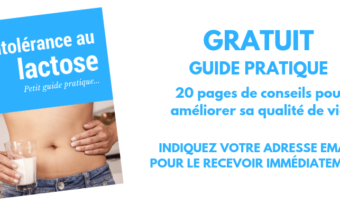 Guide