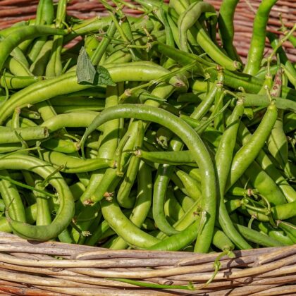 Comment savoir si on est intolérant aux FODMAP ?