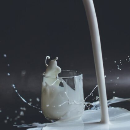 Lait sans lactose : solution idéale pour les intolérants ?