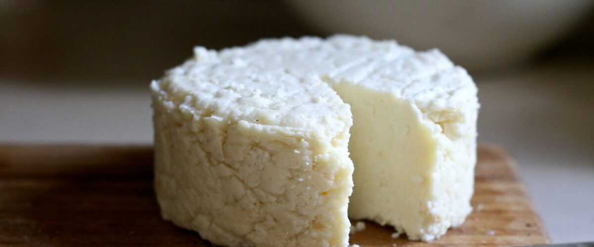 Fromages riches en lactose : le top 10 à éviter si vous êtes sensible
