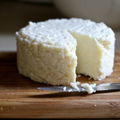 Lactose-rich cheeses: the top 10 to avoid if you are sensitive