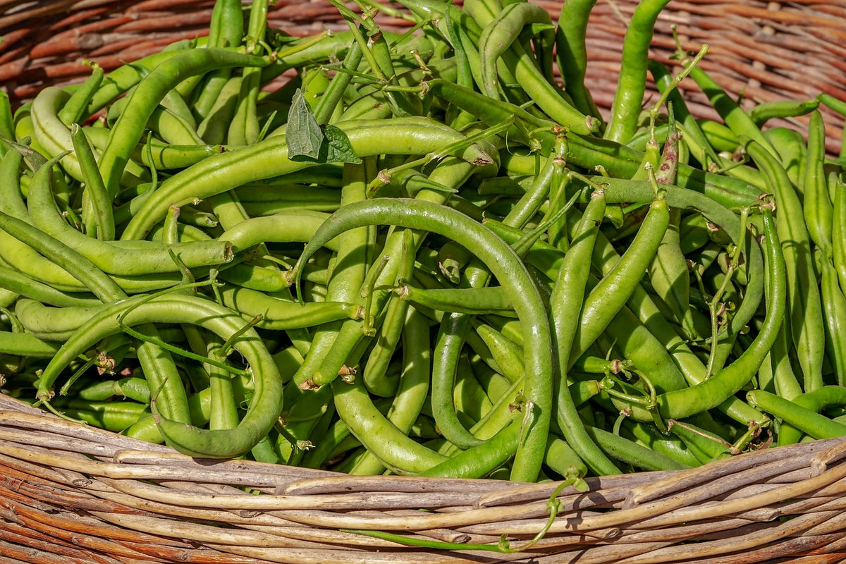 Comment savoir si on est intolérant aux FODMAP ?