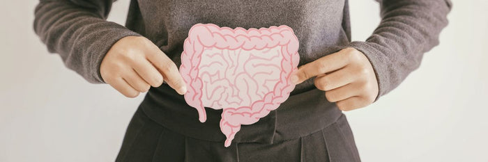 Baisse d’activité du microbiote : un phénomène naturel inévitable ?