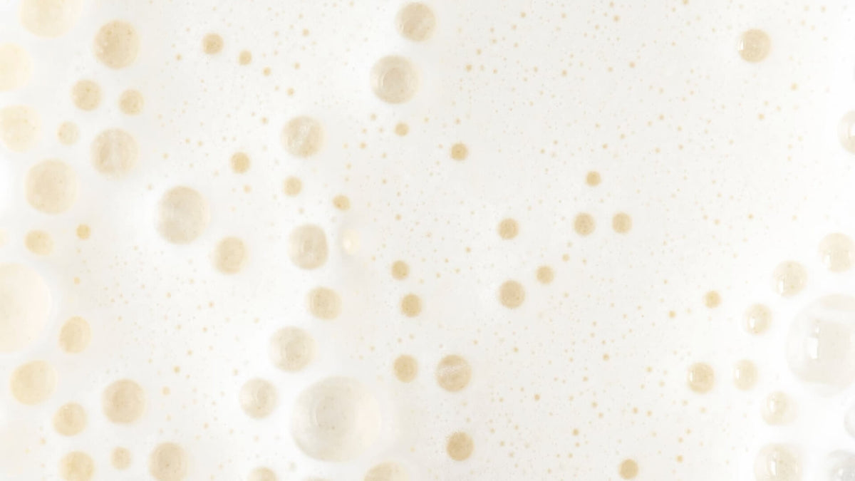 Le lactose : tout comprendre pour mieux le digérer