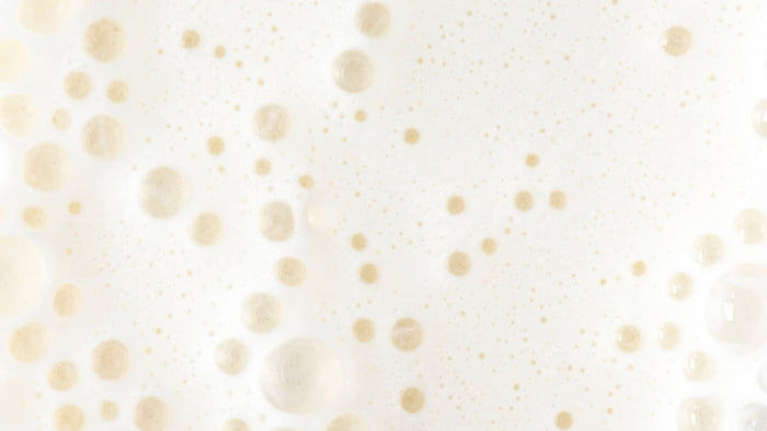 Le lactose : tout comprendre pour mieux le digérer