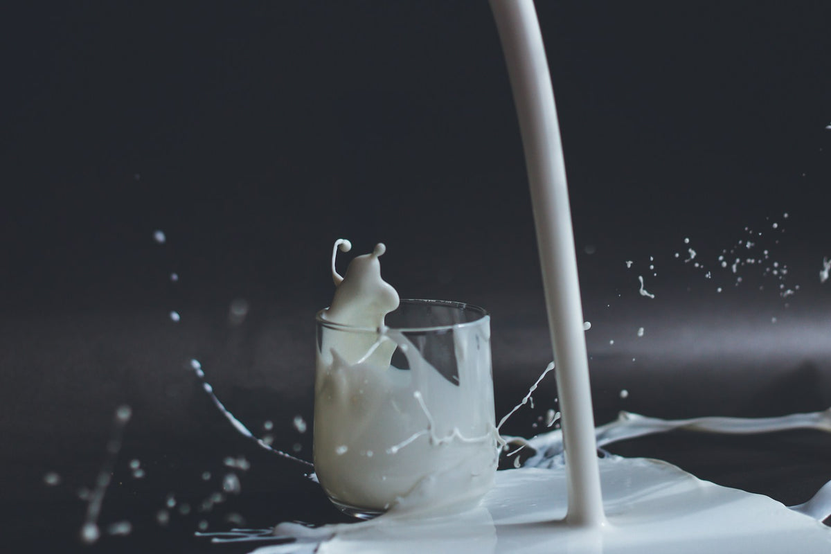 Lait sans lactose : solution idéale pour les intolérants ?
