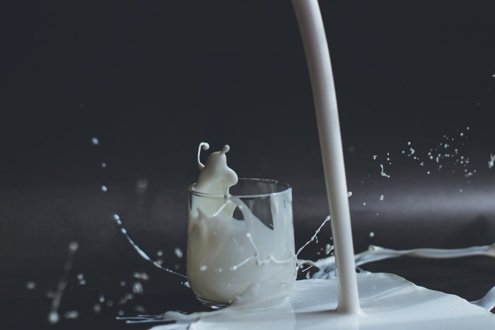 Lait sans lactose : solution idéale pour les intolérants ?