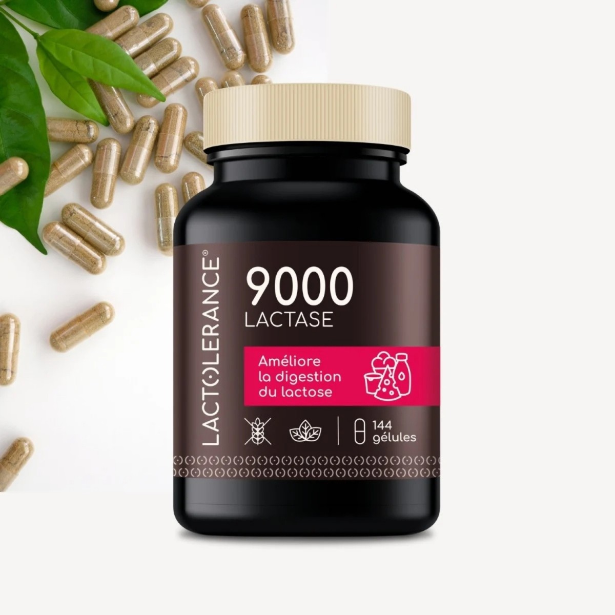 LACTOLERANCE 9000 - Pack de 288 gélules de lactase
