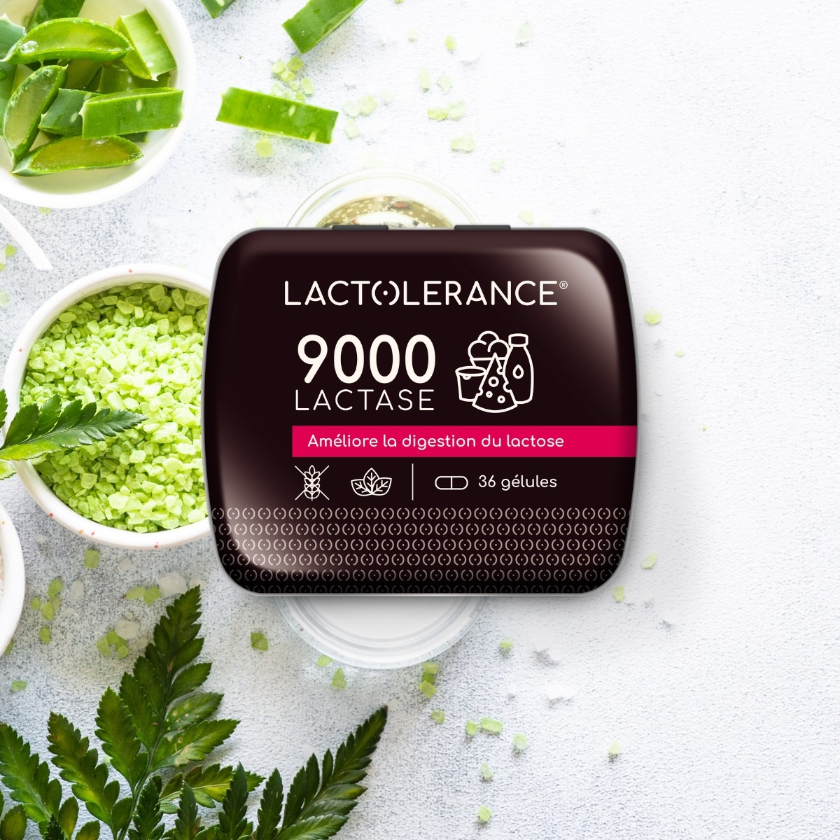LACTOLERANCE 9000 - Pillar - 36 Laktase - Kapseln